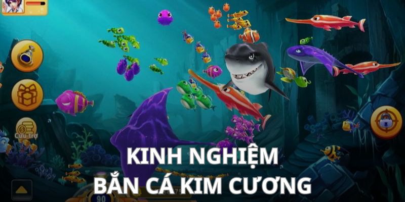 Kinh nghiệm chơi bắn cá kim cương nhanh thắng