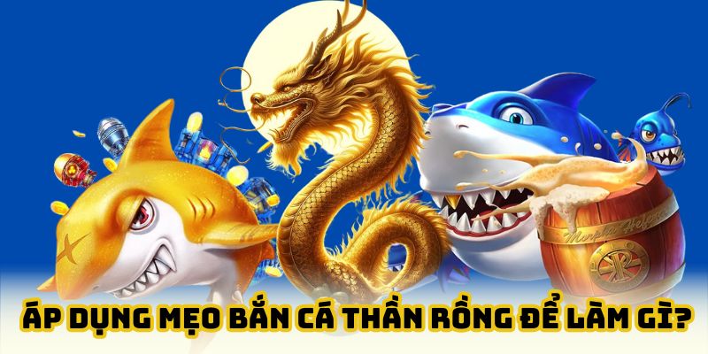 Ý nghĩa của việc áp dụng mẹo săn cá thần rồng